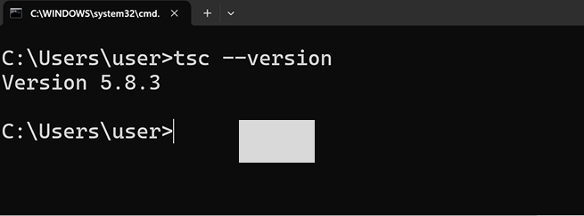 TypeScript Verification
